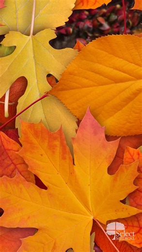 We are thankful for the more than 1.5 million patients across our network of hospitals and centers who trust us with their care, and for our amazing teams who help those patients recover so they may return to their families and communities. #Thanksgiving #GiveThanks | Baylor Scott & White Institute for Rehabilitation - Fort Worth | Facebook