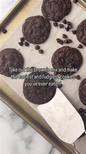4 comments | These fudge cookies are made from brownie mix, making...