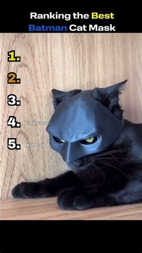 Ranking the MOST MENACING Batman Cats 💀🦇