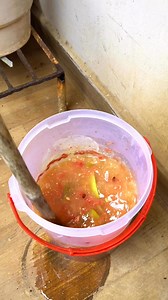 🌸 Grow with Mad Gardener Series💚🍏 The Best Natural Fertilizer for Fruiting & Flowering! 🌿 Here’s how to make a powerful fruit fermented juice (FFJ) fertilizer using the Korean Natural Farming method — completely natural, homemade, and super effective! 🍌 Got overripe fruits at home? Don’t throw them away! Instead, turn them into a nutrient-rich fertilizer: ✨ How to Make: • Take equal weights of chopped overripe fruit and jaggery/brown sugar. • Mix well in a dry, moisture-free container. • Co