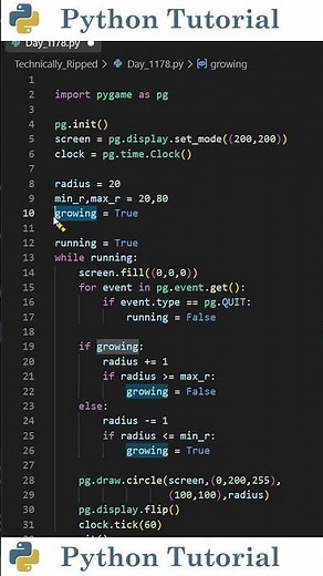 The Easiest Pygame Animation Effect | Python Tutorial