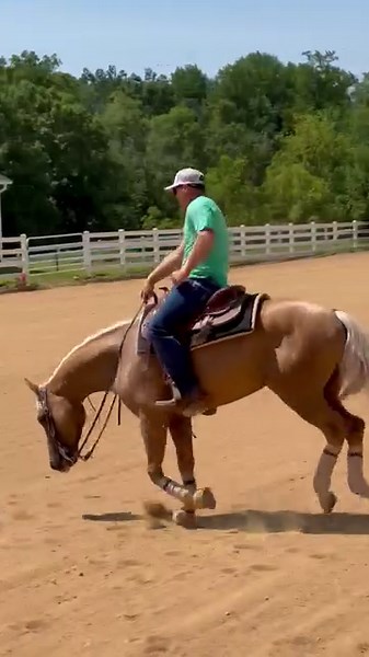 245K views · 4.7K reactions | Spending our day getting ready for the...