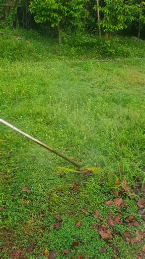 Grass cutting satisfying asmr experience #grasscutting #asmr #Satisfying #oddlysatisfying #fypシ