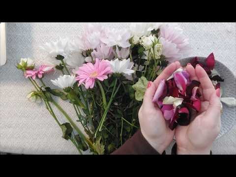 ASMR Decision Maker ✨ Love Me Love Me Not | Stay or Go | Buy or Don’t Buy 🌸