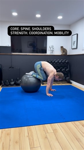 Get Gymnast Fit on Instagram: "In human biomechanics the core, the shoulder complex, and joint mobility operate as a single coordinated system rather than isolated anatomical units. Training them separately often produces incomplete adaptations because the nervous system organizes movement through integrated chains, not individual muscles. The core should be understood as a multilayered structure that includes the deep spinal stabilizers, the diaphragm, pelvic floor interactions, and the muscles