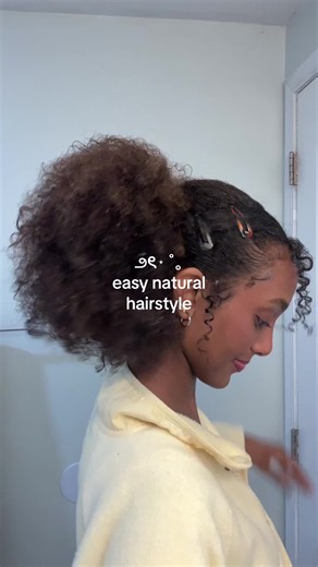 Easy Natural Curly Hairstyle in 5 Minutes