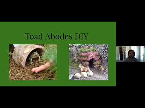 A Toad Abode for Your Yard