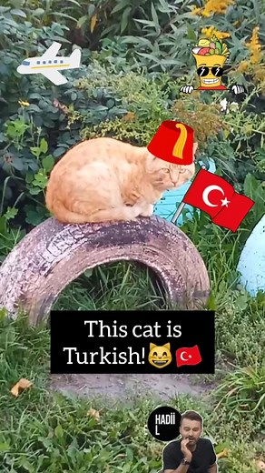 Discovering a New Cat in Turkey