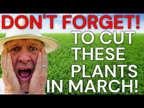 Cut these Plants Back Now in March, Before it's too Late! Prune, trim