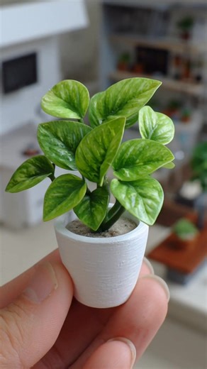 Pothos in Pots #short #PlantParenting #gardeningtips #Gardening #trend #gardeninspiration #indoorplants #plantdecor #fblifestyle #pothos | Home gardening decorations
