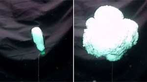 Voilà à quoi ressemble une explosion sous l'eau filmée au ralenti