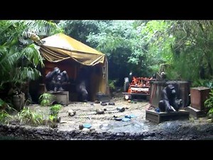 Jungle Cruise On-ride (Complete HD Experience) Disneyland California