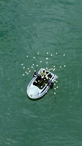 141K views · 1.1K reactions |  Fishing or cheating? #fishing #fishinglife #carpfishing #nature #fypシ #fypchallenge #fishingislife #fishingaddict #fishingtrip | Boatman Factory | Facebook