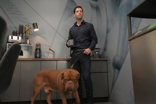 Josh Peck Talks starring role in "Turner & Hooch" series on Disney+
