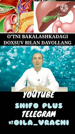 Understanding Digestive Health: The Role of the Liver