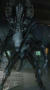 Praetorian Xenomorph #explore #trend #xenomorph #xenomorphs #alien #alienvspredator #predator