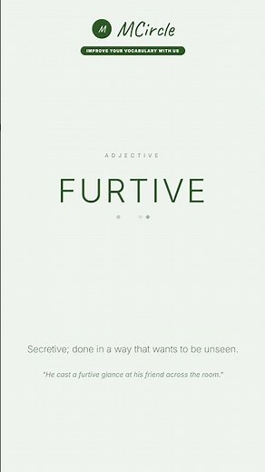 Learn English: What is Furtive? | Vocabulary Shorts
