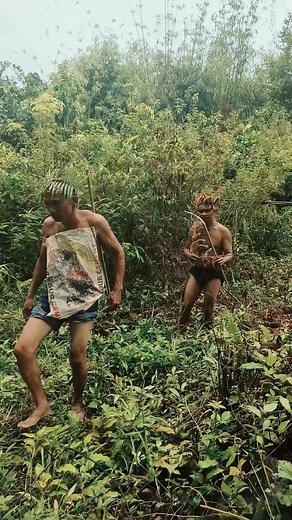 2.9K views · 48 reactions | viral Mga tribo daw oh 藍 Nakahuha daw ng labuyo pero manok na nakatali pala #videoviralシ #goodvibes #hilights #comedy #TopFans #capcut #followersreels | LeoPilot Tutorial | Facebook