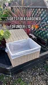 16 reactions | The ultimate gift guide for gardeners! ‍華 Delight the gardening lovers in your life with the perfect gift basket!  Amaryllis Gift Set - £9.99 理 Gardeners gloves - £4.49  Watering Can - £5.99 ⛏️ Tools - £6.99 each Shop in-store or online here: https://bit.ly/3UR1w9V | Cherry Lane Garden Centres | Facebook
