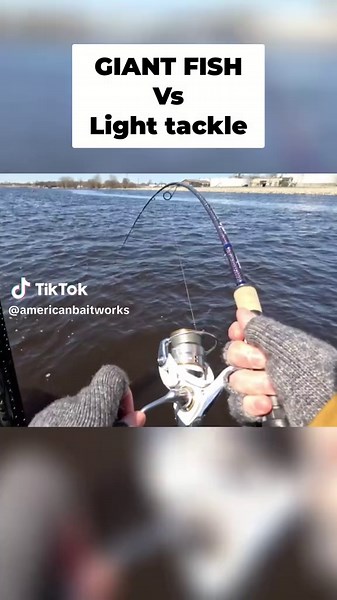 WHAT DID WE HOOK?? That BB Scoping rod got DOUBLED OVER 🎣 🎣 I guess well never know...comment your thoughts below! #fishing #giant #fish #rivermonsters #fishingrod #crazy #fishinglife #freshwater