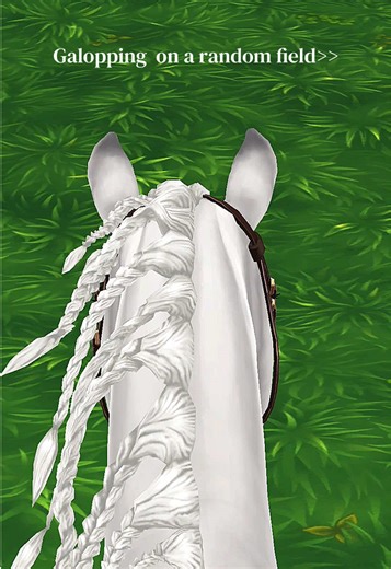 First person in sso! #sso #starstable #equistrian #racing #fields