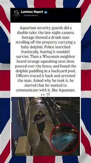 Drunk Man Steals Dolphin For Backyard Pool