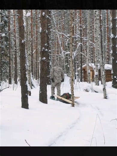 Winterizing Forest Cabin: Wildlife Watch