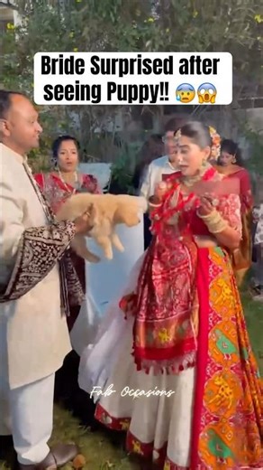 Bride Surprised After Seeing her Wedding Gift | Puppy Love | Dog Lover | Indian Bride | Fluffy Dog