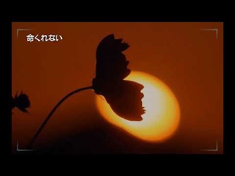 歌のない歌謡曲 演歌編１