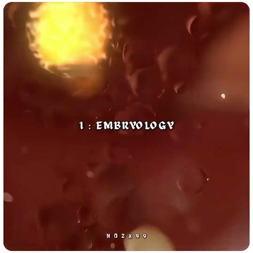 The Two Miracles Of Allah (SWT) In The Quran📖