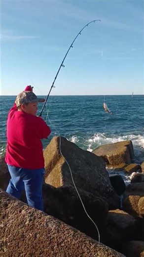 EL CHAPULINSITO Y UN BOTETE EN PUERTO PEÑASCO