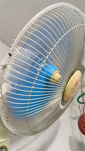 hanabishi summer wind wall fan