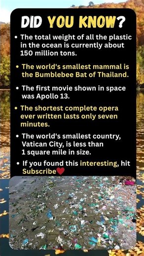 💰 Soldiers, Vatican City & Mind-Blowing Facts About Our World!