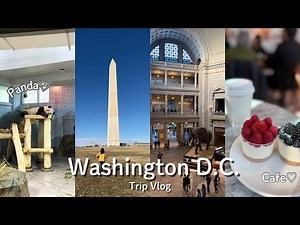 【ワシントンD.C.🇺🇸】全部無料‼️超太っ腹なアメリカの首都｜NYから行ける2泊3日電車旅🚃｜Washington D.C.