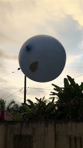 36'' BALLOON ROCKET FLOWN IN THE AFTERNOON#shortsviral