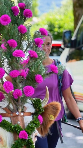72K views · 1.7K reactions |  Tradition und Dankbarkeit: Almabtrieb! Die zweite Gruppe, die heute von der Ankelalm hinunter nach Fischhausen kam.  #Danke #Schliersee #summaisumma #Almabtrieb #Ankelalm | Schliersee | Facebook