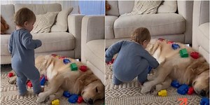 El Golden Retriever que ha conquistado a este bebé por la manera en que juega con él