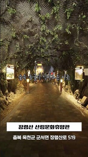 일상 탈출! 힐링 명소 찾으시나요? [장령산자연휴양림]🌿