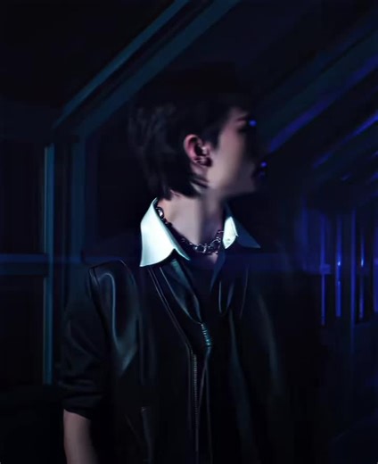 Stray Kids: The Ultimate Fan Edit