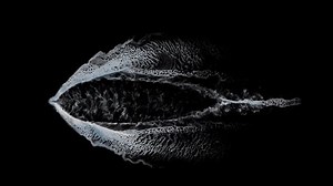 ship wake trail seamless loop texture with alpha, top view, isolated on black