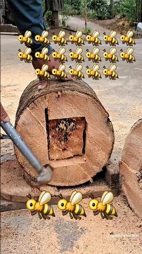 How to make a simple honey bee nest from wood | Tropical Forest Bees #bees #naturebee