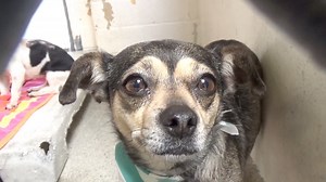 1K views · 39 reactions | A5295114 ✰ REEDA -7/04/19-...