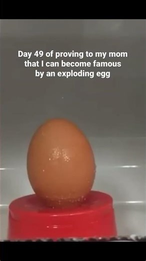 Day 49 of proving to my mom that I can become famous by an exploding egg