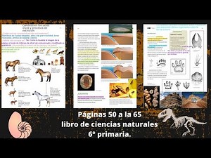 Páginas 50 a la 65 libro de ciencias naturales 6°primaria