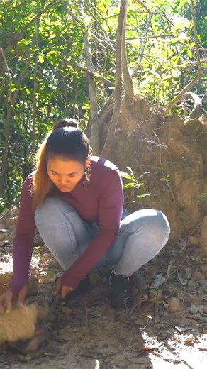 Girl Solo Survival Off Grid Alone, Built The Most Beautiful House fully Equiped to Live