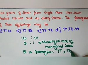 12 - principles of inheritance