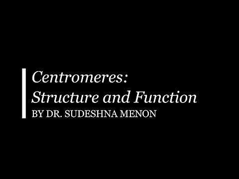 Centromere Structure and Function