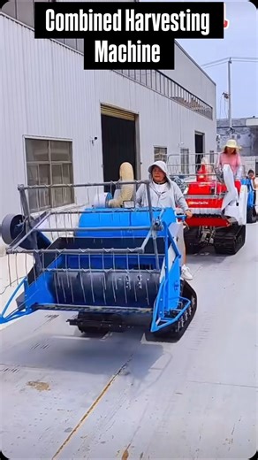 11K views · 106 reactions | Mini combined harvesting and threshing machine For more details please contact us via WhatsApp: +86-1958-6464-847 Or +66-625-828-186 WeChat: +86-1958-6464-847. You can also visit our website denrak.com to learn more. #denraksmachinery #labourday #abstractart #dieselengine #fordtrucks #spaceexploration #carrepair #harvestseason #mechanic #tires #repair | Denraks Machinery | Facebook