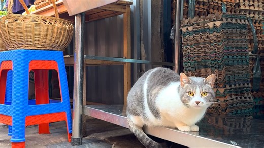 【秘鲁】库斯科街头市场徒步之旅：秘鲁的美食、人群与喧嚣