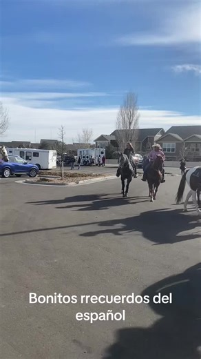 #colorado welding and design #caballos #coleadores